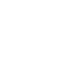 fingerprint icon